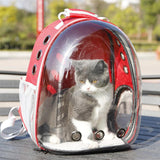 Outdoor Pet Carrier Backpack - Paws and Purrz