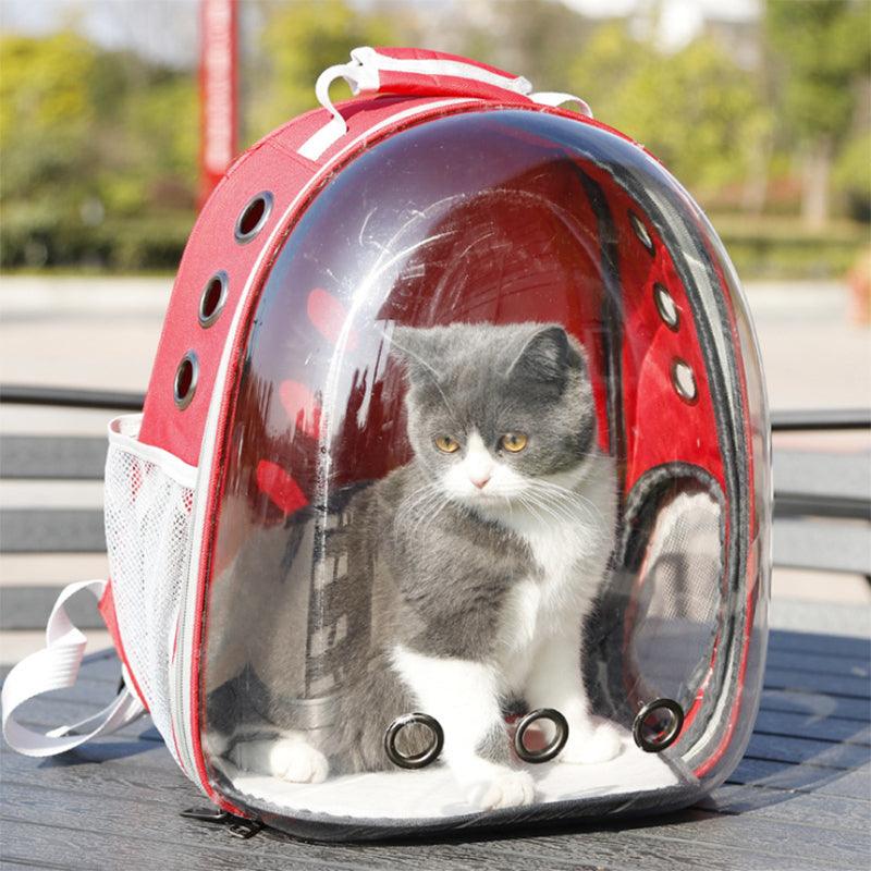 Outdoor Pet Carrier Backpack - Paws and Purrz